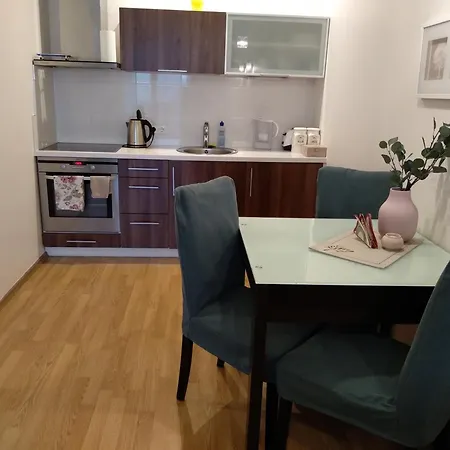 Juozapaviciaus Apartament *
